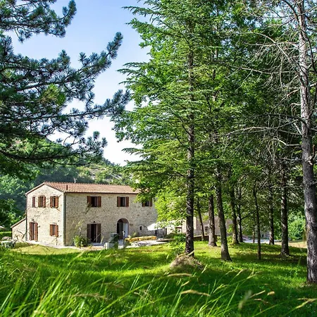 Valguerriera 5 - Rosa Gialla Pian di Mulino