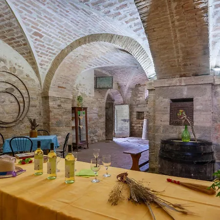 Valguerriera 5 - Rosa Gialla Pian di Mulino